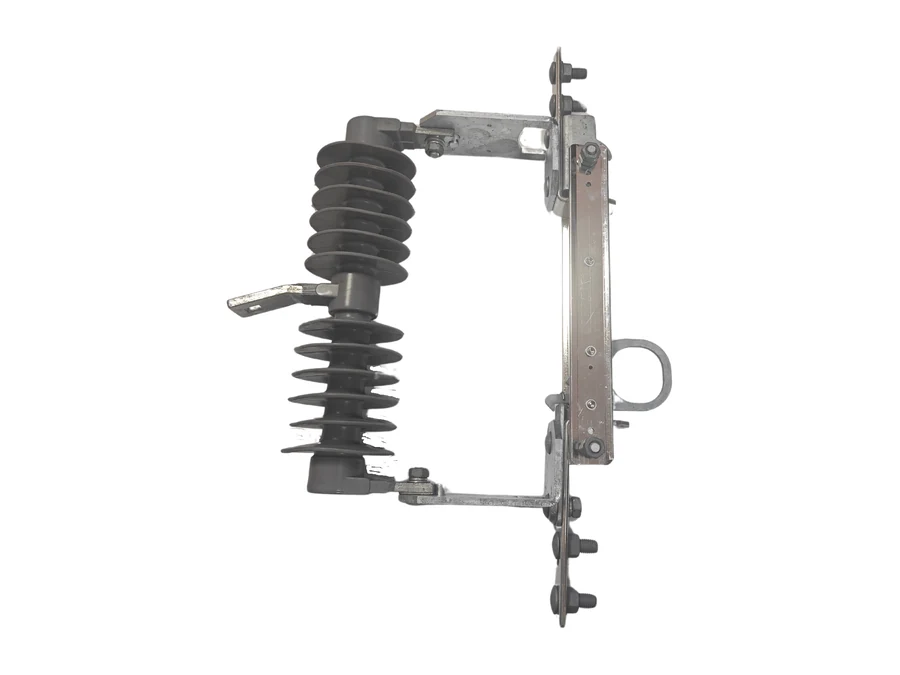 Single-phase non-fuse isolation switch selected clean product photo